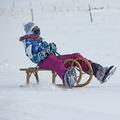 Zivljenje 19.02.13, sankanje, sanke, foto: shutterstock