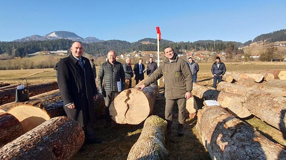 licitacija lesa hlod hlodovina | Avtor: Ministrstvo za kmetijstvo, gozdarstvo in prehrano