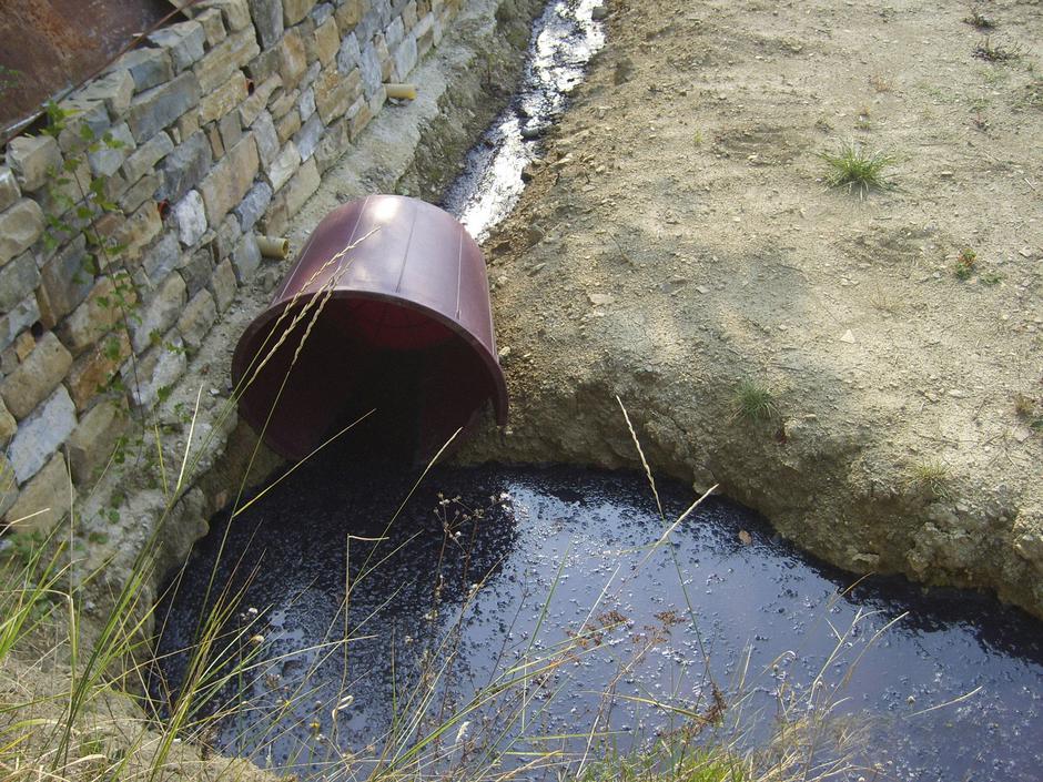  | Avtor: Žurnal24 main