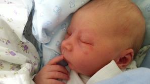 Dante Hajdi Korošec