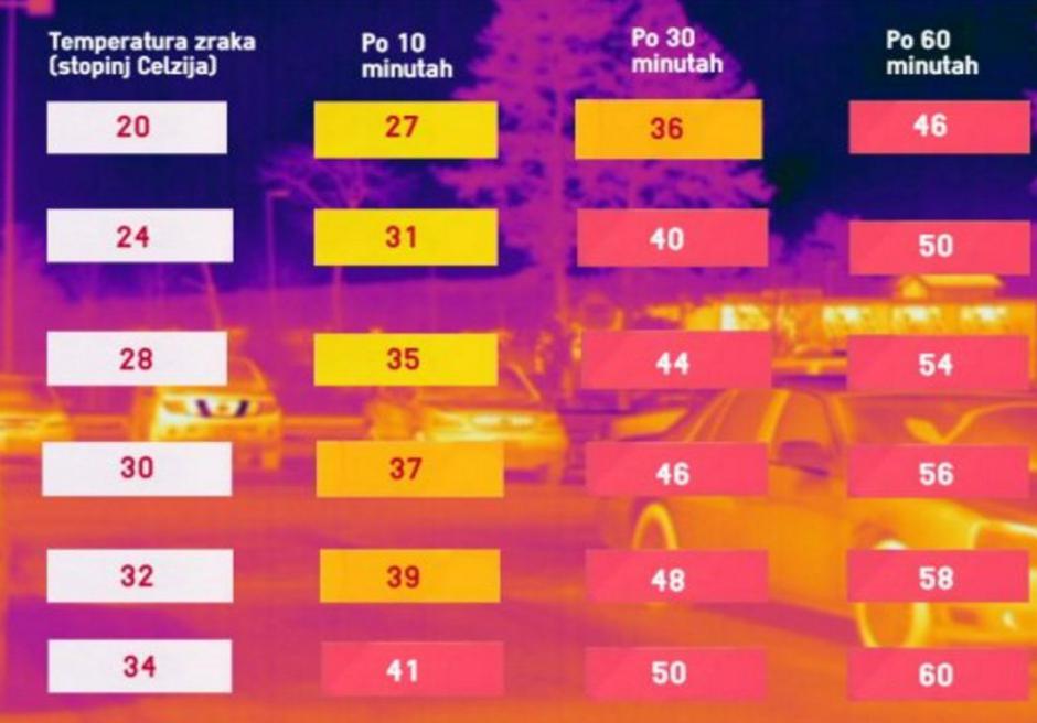 Vročina v avtu | Avtor: Žurnal24 main