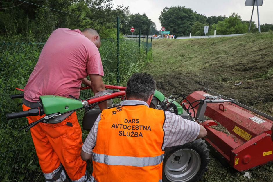 DARS | Avtor: Saša Despot