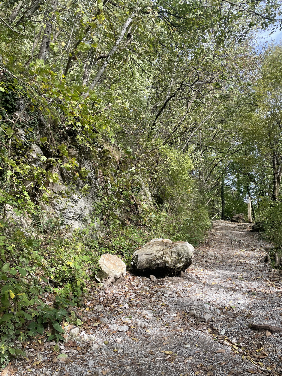 Šmarna gora | Avtor: Žurnal24 