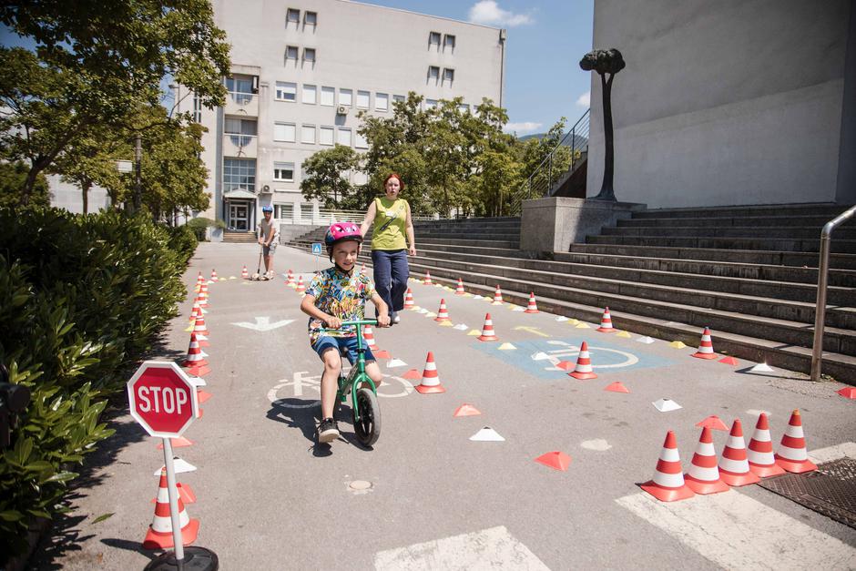 Festival za ljubitelje živali 2025 | Avtor: Cimet Studio