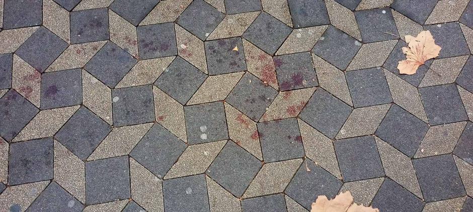 Bavarski dvor | Avtor: D. M.