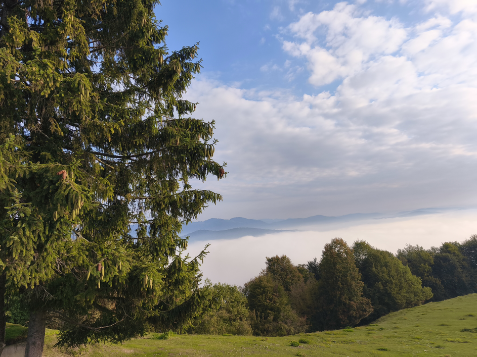 Turistična kmetija Kuren