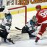 Detroit Red Wings : San Jose Sharks 3:1