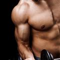 mišice, mišičnjak, moški, telo, fitness