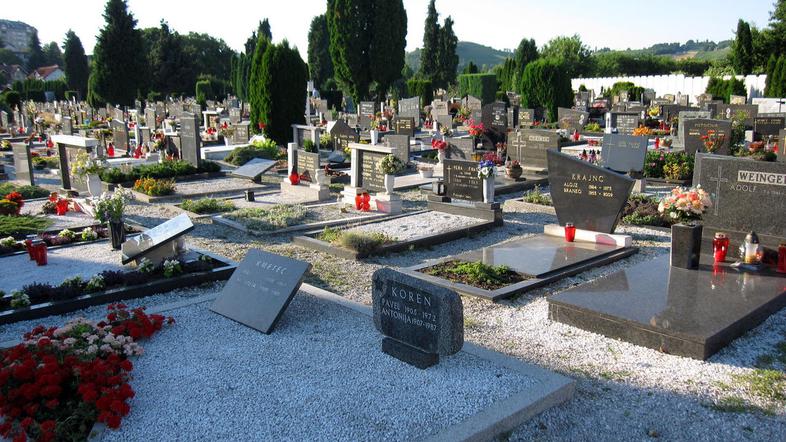 Desetletna najemnina predstavlja tudi stroške vzdrževanja skupnih objektov in na