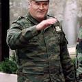 mladic