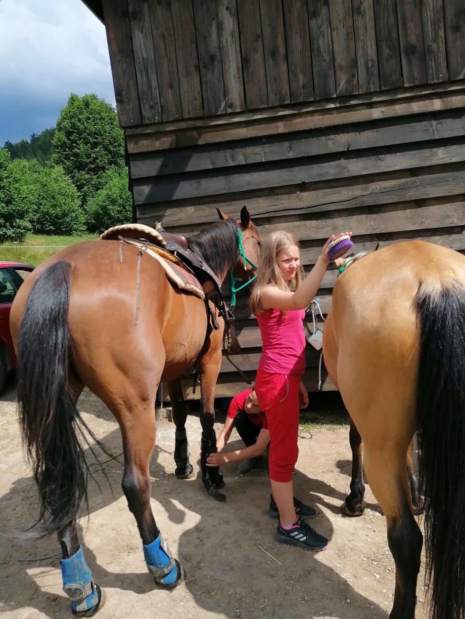 ranč Šinkovec | Avtor: Špela Šinkovec