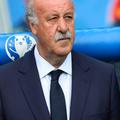 vicente del bosque