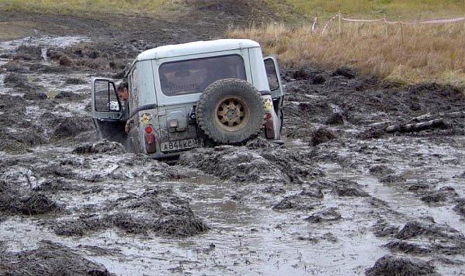 (Foto: )