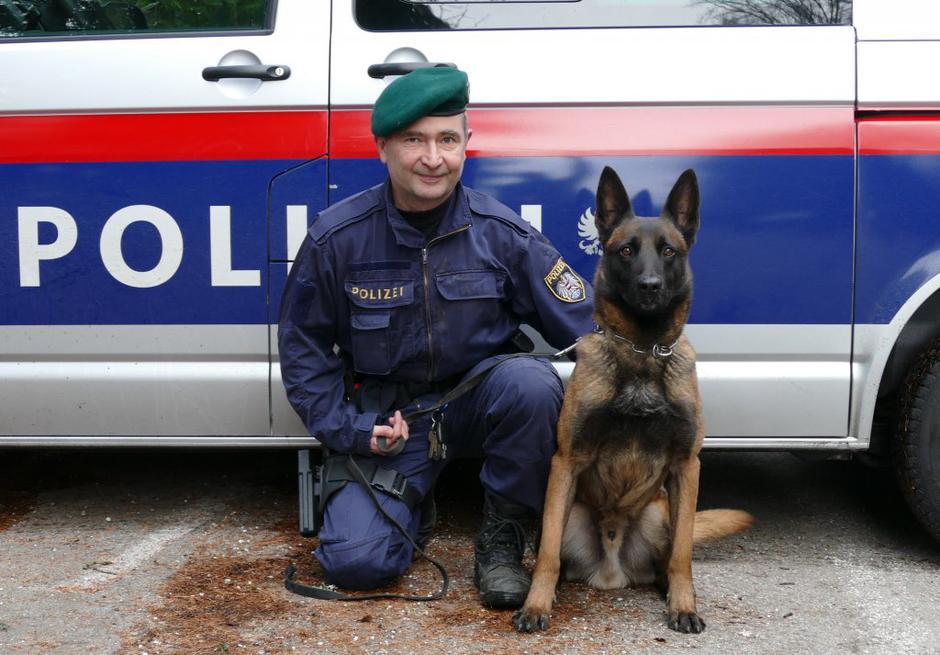 avstrija | Avtor: EPA