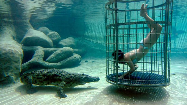 Potaplajnja v kletki