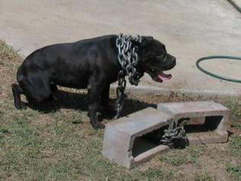  | Avtor: Žurnal24 main