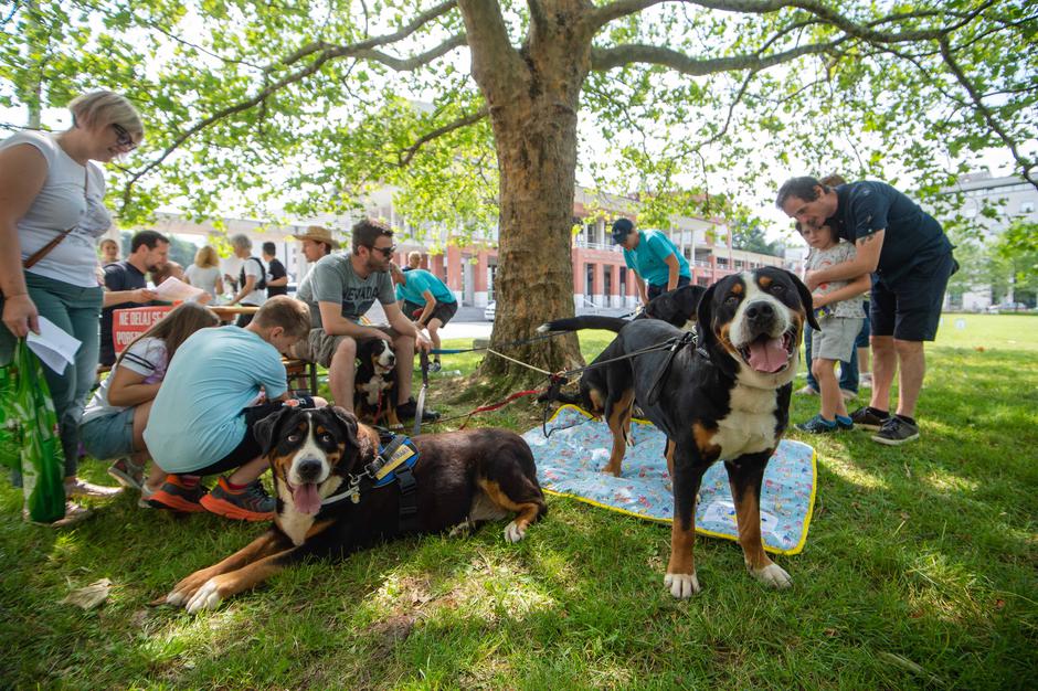Festival za ljubitelje živali 2023 | Avtor: Anže Petkovšek