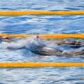Plavalci z vsega sveta so v petek v Rimu prvič preizkusili bazen Foro Italico.