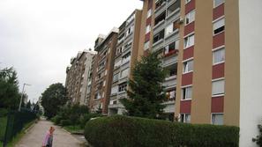 Planina (Foto: Iztok Golob)