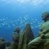 Silent Evolution, Jason deCaires Taylor, Cancun