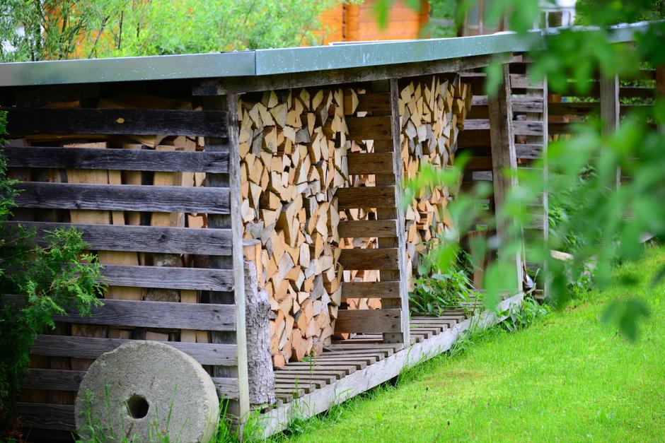 Drva | Avtor: Profimedia