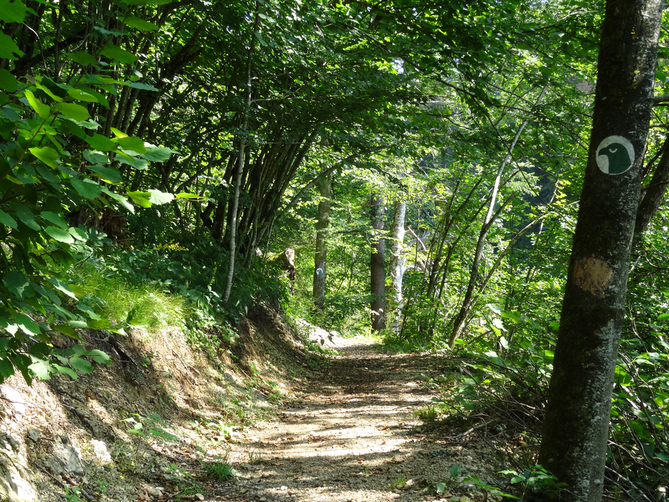 Orlova pot | Avtor: Ljudska univerza Kočevje