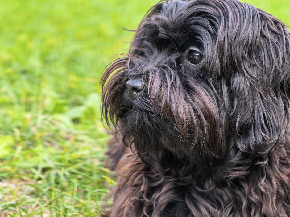 pura 80 ultra fotke | Avtor: D. J.