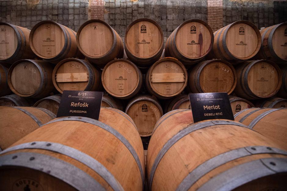 Vinakoper | Avtor: Anže Petkovšek