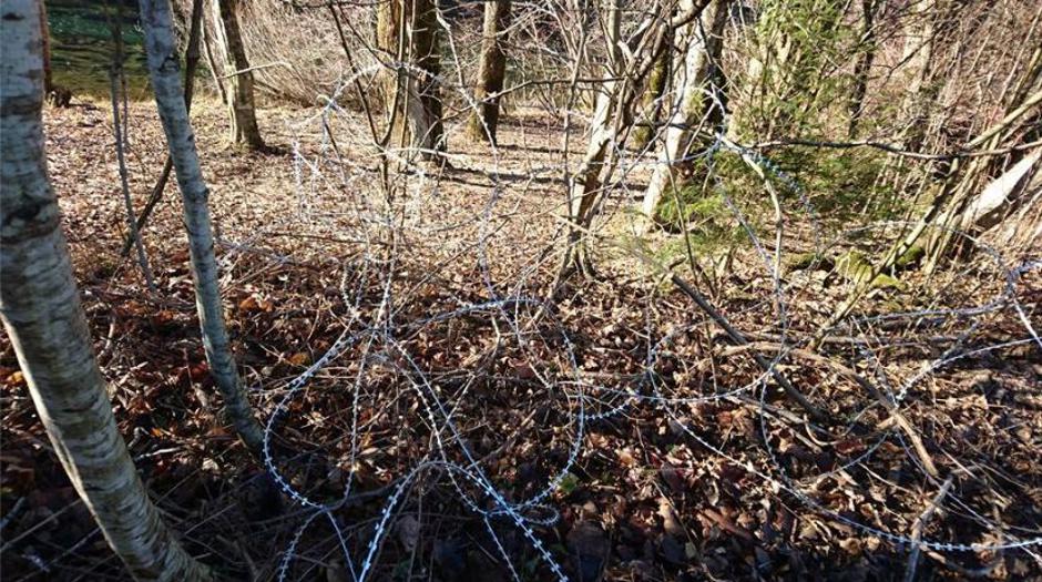 Žica | Avtor: T. L.