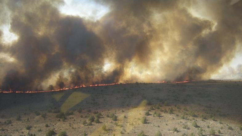 Požar v Kaliforniji