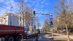 presajanje dreves Ljubljana