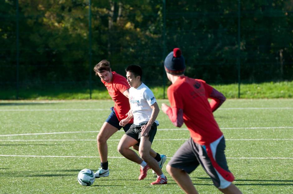 Umetna trava | Avtor: Profimedias