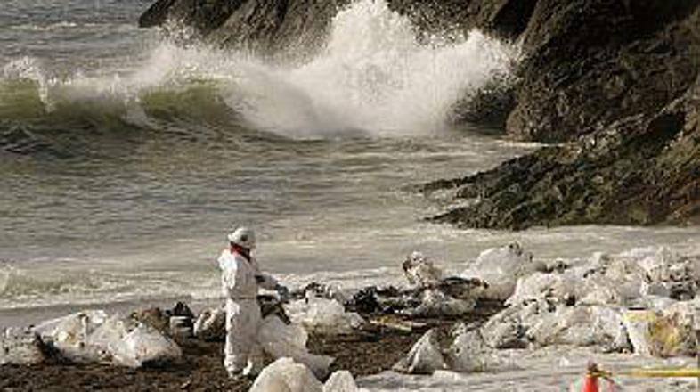 Nekatere ogrožene vrste ptic bodo še bolj prizadete.