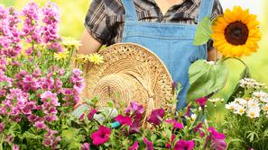 vrt vrtiček vrtnarjenje