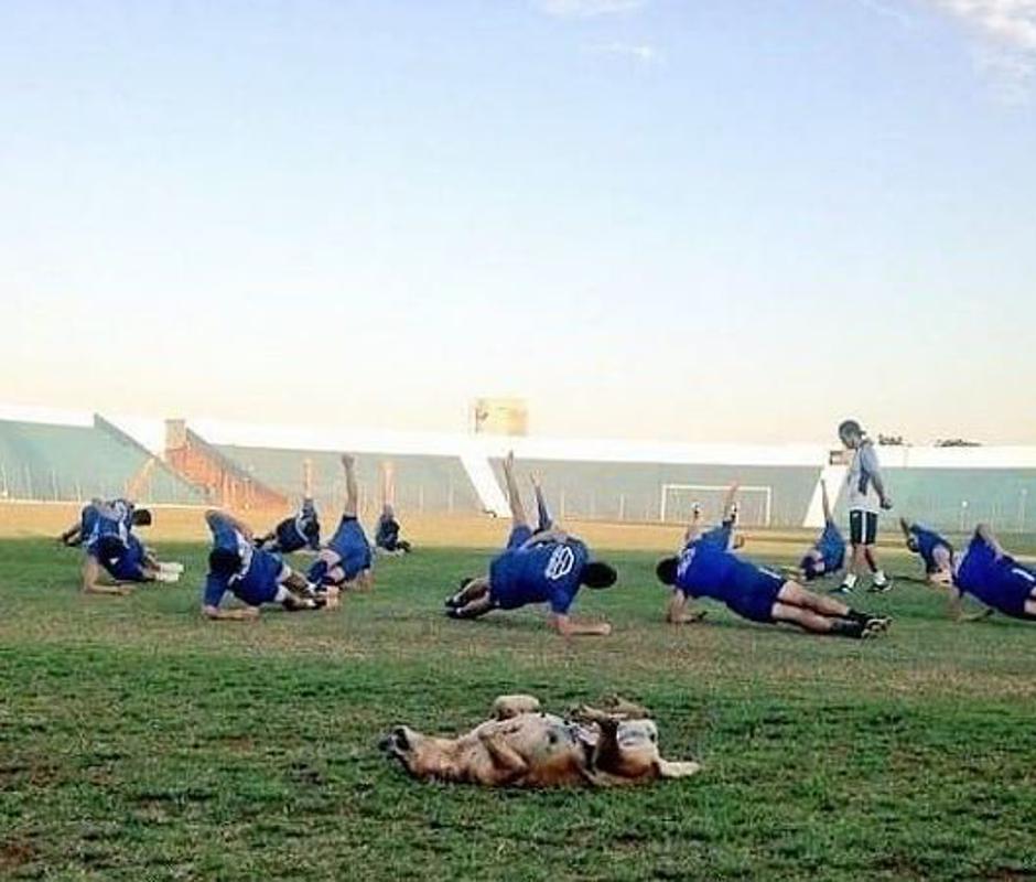 2 de Mayo | Avtor: Reševalni pas/Twitter