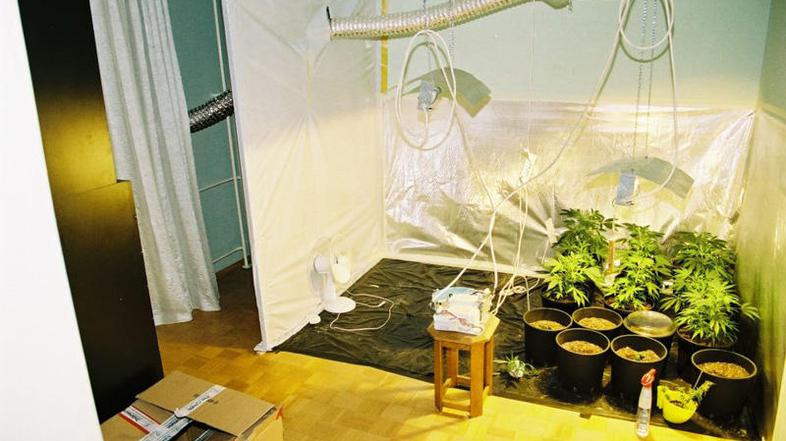 Mariborčan je laboratoriju namenil kar celo sobo. (Foto: PU Maribor)