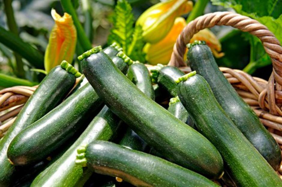 Bučke | Avtor: Profimedias