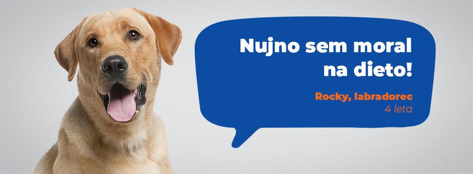 Mr. Pet | Avtor: Mr. Pet