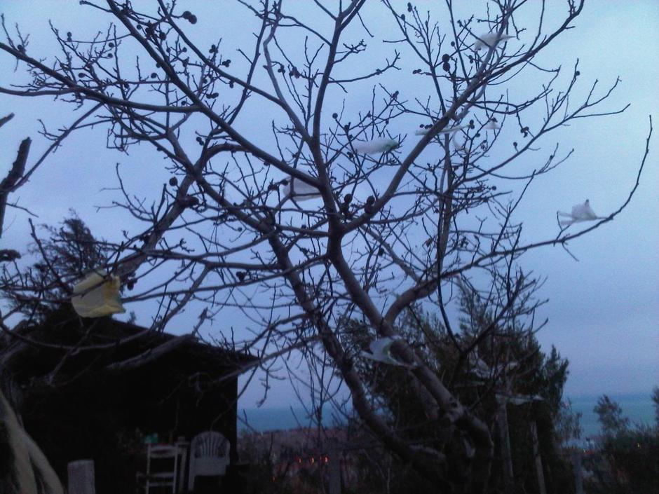 Burja nad Izolo | Avtor: Bralka Saša