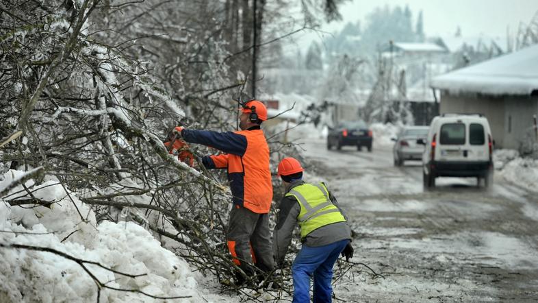 slovenija 05.02.14, zled, led, sneg, zima, naravna katastrofa, zlom drevja, gozd