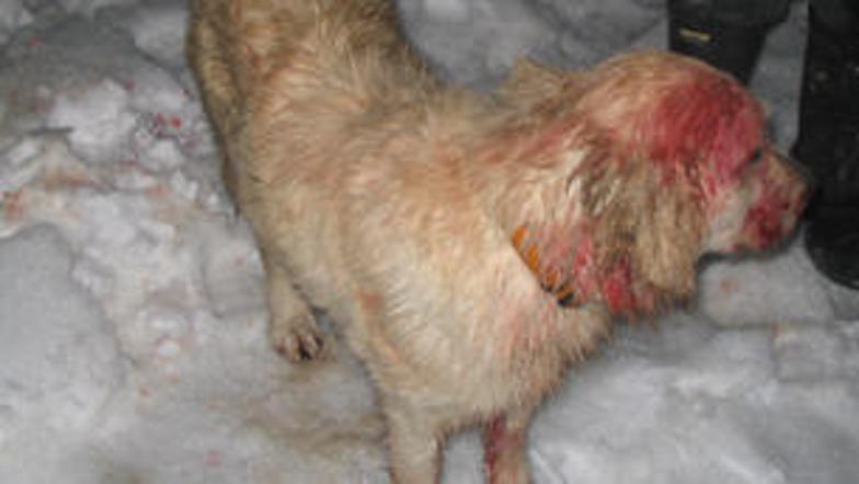 Junakinja Angel po pogumnem dejanju.