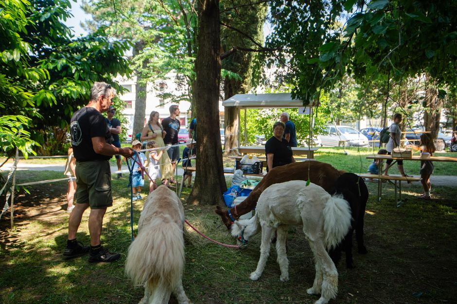 Festival za ljubitelje žiivali | Avtor: Anže Petkovšek