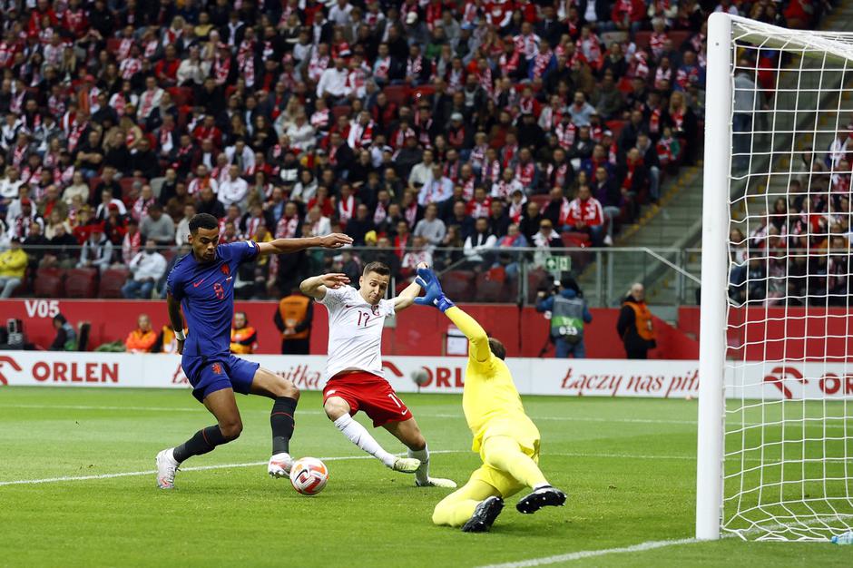 Cody Gakpo | Avtor: Profimedia