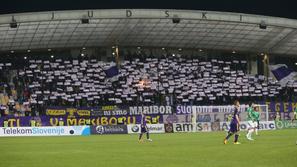 Viole NK Maribor Olimpija Ljubljana večni derbi Pokal Slovenije Hervis Ljudski v