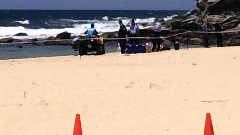 plaža Sydney mrtev otrok