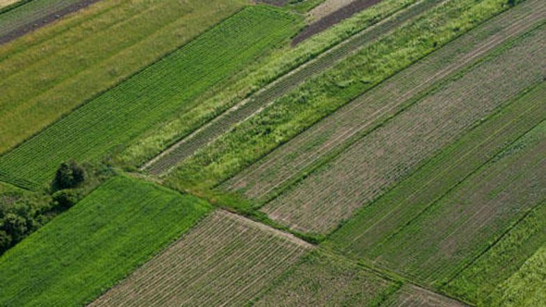 Slovenci mislimo najbolj zeleno v Evropi. (Foto: Žurnal24)