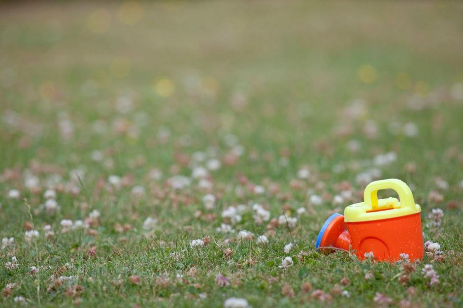 Suša | Avtor: Profimedia