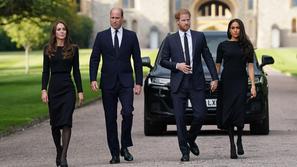 Princ William in Harry