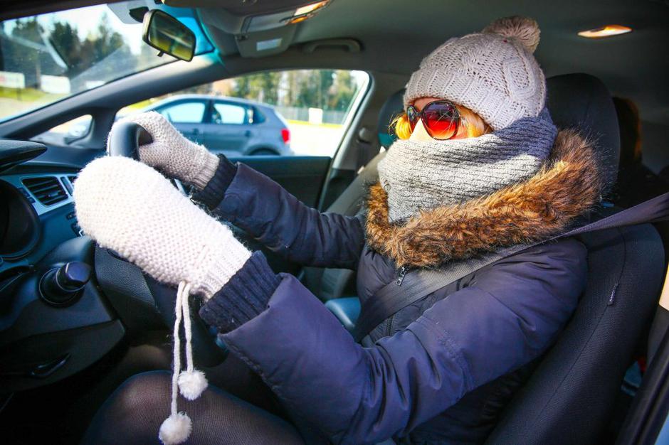 Voznica | Avtor: Saša Despot