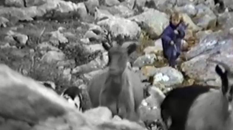 Luka Modrić, mali pastirček